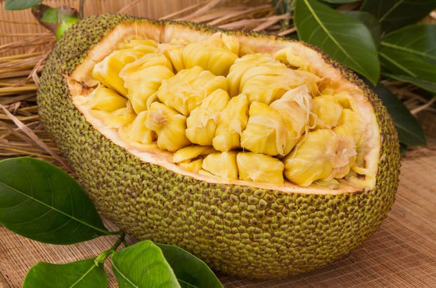 Jackfruit nedir? Jackfruit faydaları