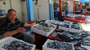 Giresun'da yerli hamsi çıktı: Fiyatı ise 15 TL