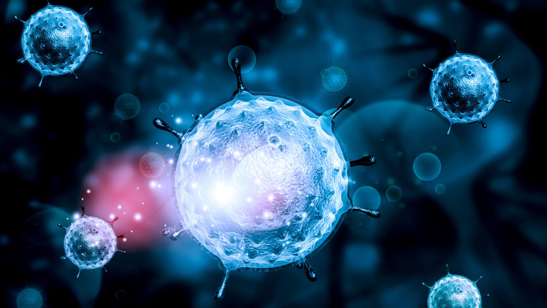 Hepatit Cnin Hint ilaçları ile tedavisi: doktorların yorumları Hepatit Cnin Hint ilaçları ile tedavisi: doktorların yorumları