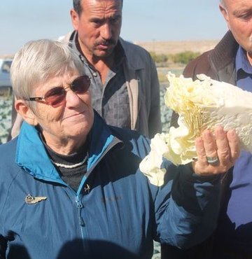 Canan Karatay, lahana turşusunun, kanser, Alzheimer, karaciğer yağlanması ve şeker düzenlenmesinde etkisi olduğunu açıkladı