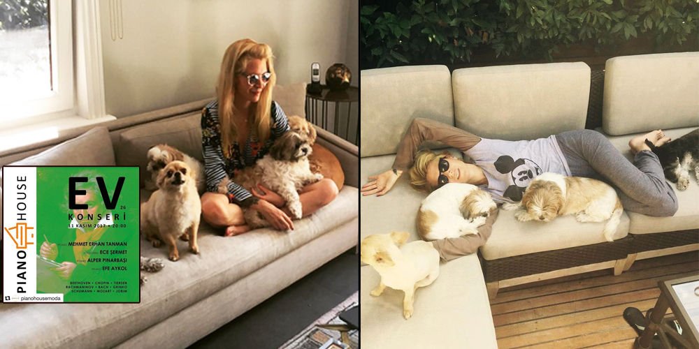 Sokak hayvanları için özel konser