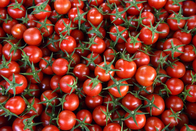 Datça domatesinin 20 kiloluk kasası 30 liradan satılıyor