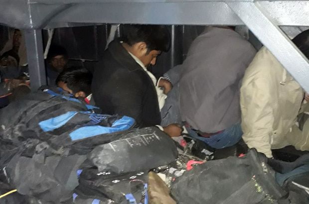 Ağrı'da 294 kaçak göçmen yakalandı