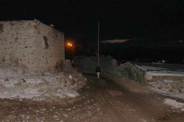 Ağrı'da iki köyde kuş gribi karantinası başladı
