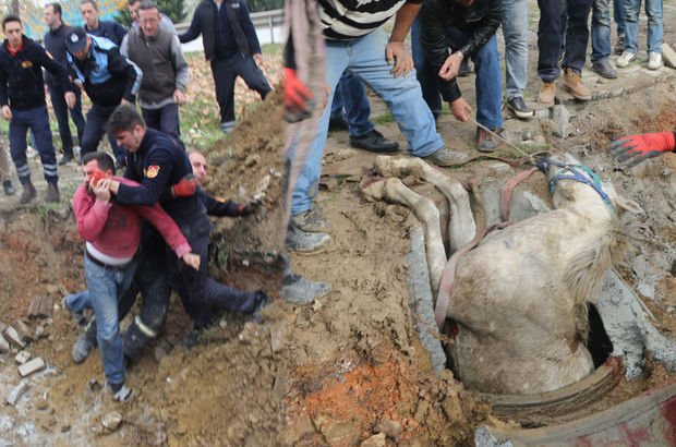 Kocaeli'de bir kişi kanalizasyona düşen atı kurtaran itfaiye erine saldırdı