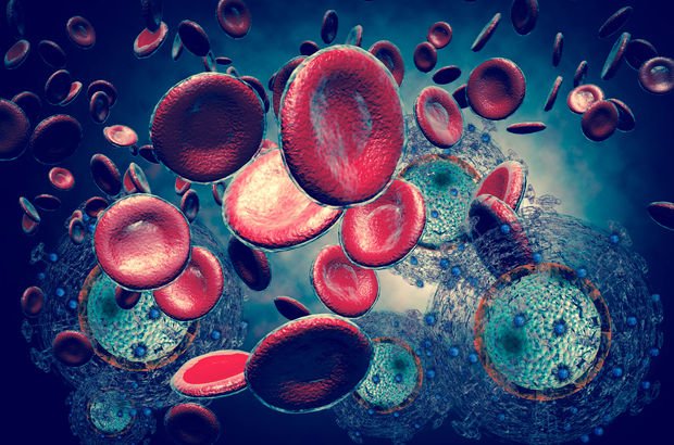1 Aralık Dünya AIDS Günü AIDSi bilmiyoruz 1 Aralık Dünya AIDS Günü AIDSi bilmiyoruz