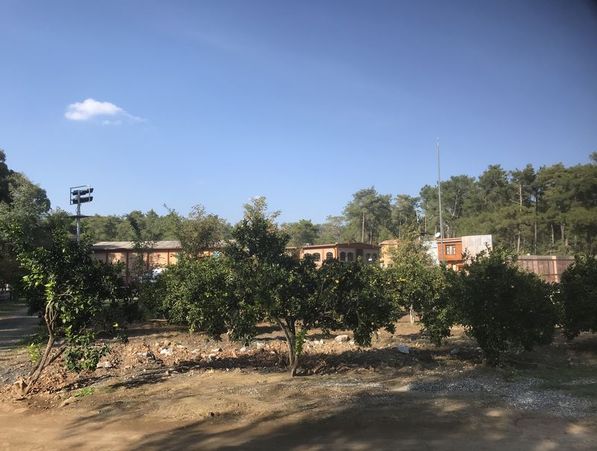 Yılmaz Erdoğan’ın çiftliğinde portakal, mandalina, limon, greyfurt ve zeytin ağaçları da bulunuyor.