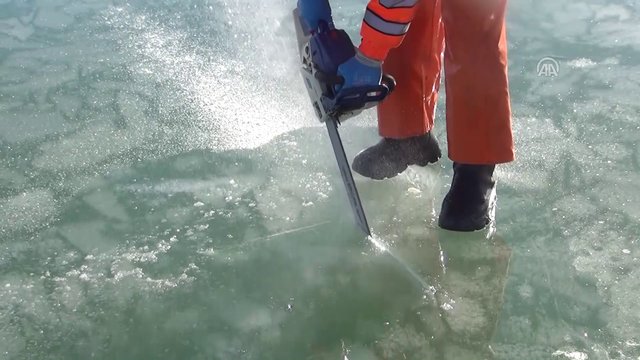 Muş'ta donan gölde buzları "motorlu testere"yle kesip balık avlıyorlar