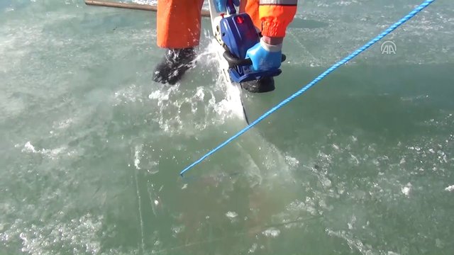 Muş'ta donan gölde buzları "motorlu testere"yle kesip balık avlıyorlar