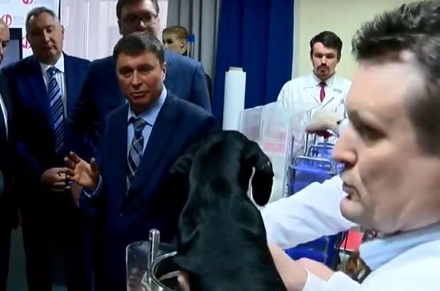 Rusya'da yapılan sıvı soluma deneyinin görüntüleri ortaya çıktı