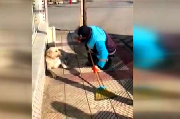 Temizlik işçisinin sokak köpeğine şarkı söylemesi çok izlenenler arasına girdi!