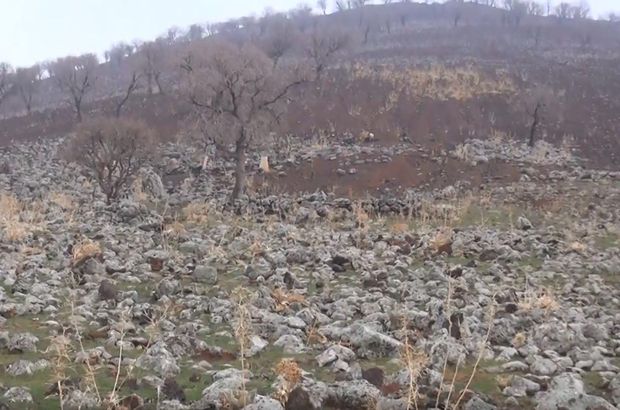 Diyarbakır Çınar Kaymakamı'ndan mezarlıkların tahrip edilmesi ile ilgili açıklama