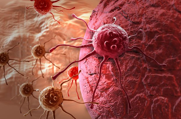 Rus bilimciler, kanser hücrelerini aç bırakarak yok etmeyi başardı