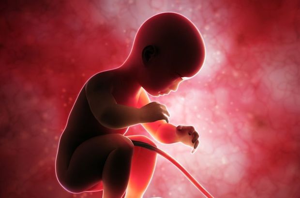 Bebeğin DNA'sı anne kanından tespit ediliyor