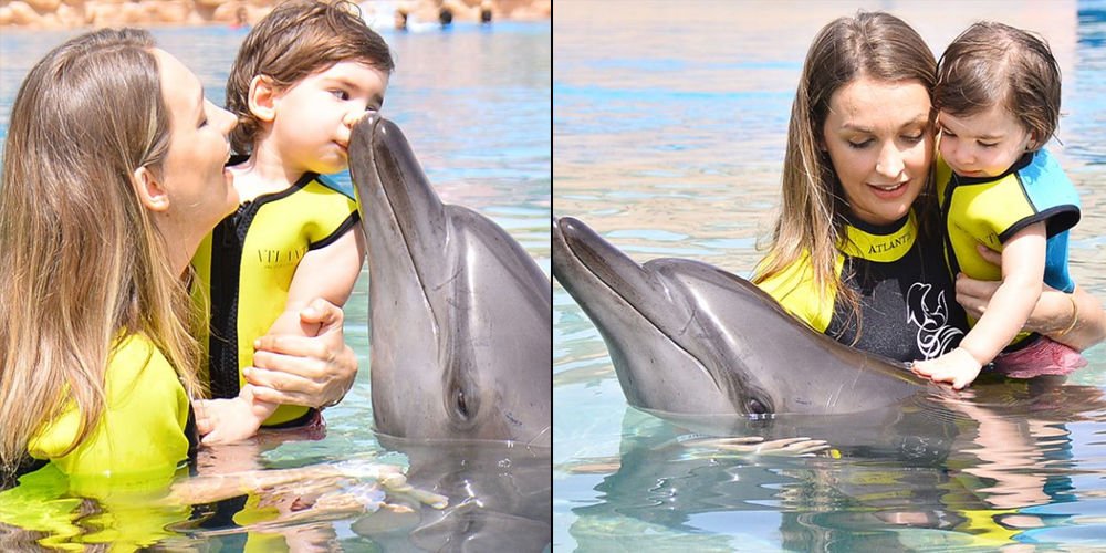 Theo'nun hayvan sevgisi