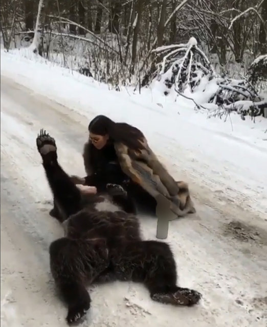 ���������� ������ ������� � ���� ����� ����