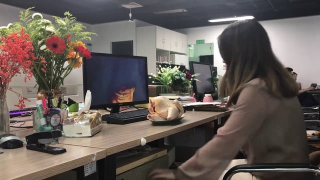 Кошка которая выглядит как офисная работница Youtube fenomeni Ms Yeah'ten tehlikeli deney!