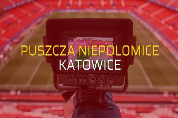 Puszcza Niepolomice - Katowice maçı istatistikleri