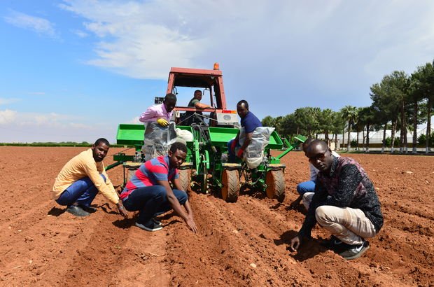 Somalili mühendisler modern tarımı Türkiye'de öğreniyor