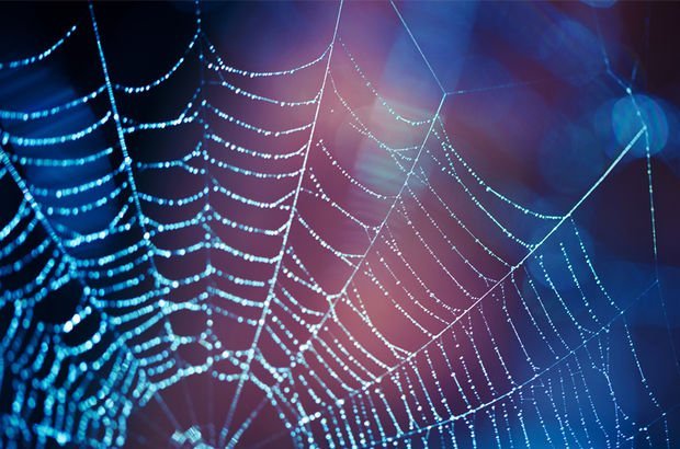 Örümcek ağıyla kanser tedavisi projesine ödül