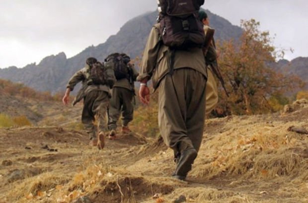 Şırnak'ta biri kadın 5 PKK'lı terörist yakalandı