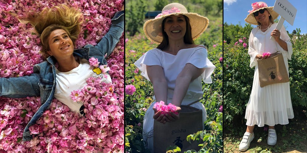 Hanımların gül hasadı