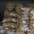 "PATATES FİYATINI HASTALIK ARTIRDI"