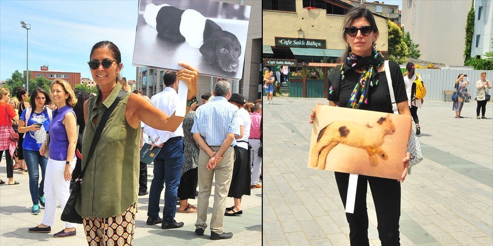 Hayvan katliamını protesto ettiler