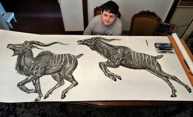 15 yaşındaki Sırp sanatçının birbirinden etkileyici çizimleri