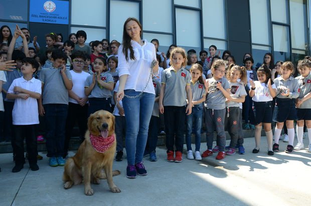 Trabzon'da her okula bir sokak köpeği