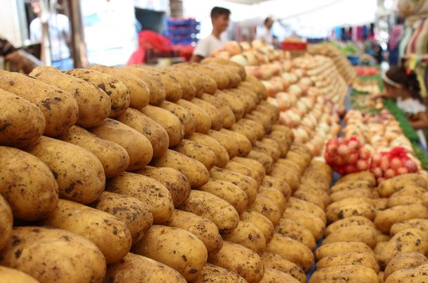 Patates ve soğan fiyatı hasatla düşecek