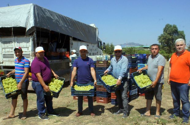 'Türkiye'nin üzüm ambarı'nda hasat zamanı