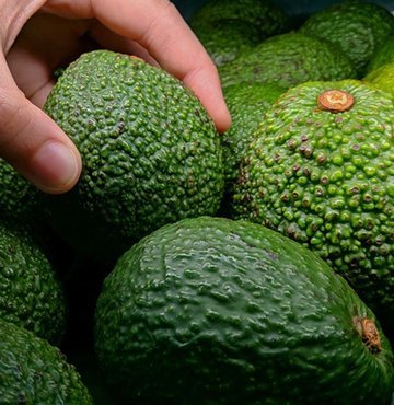 Diyetisyen Şeyda Sular, bazı besinlerin benzediği organa yararları olduğunu söyledi. Örneğin mideye benzeyen zencefil, mideyle ilgili rahatsızlıklara iyi geliyor