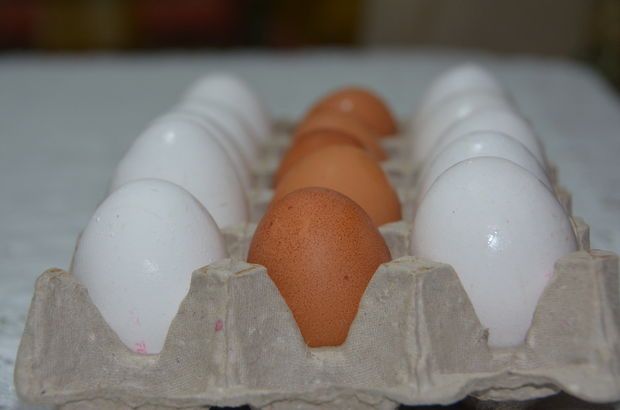 'Yumurta fiyatları yüzde 90 arttı' iddialarına cevap!