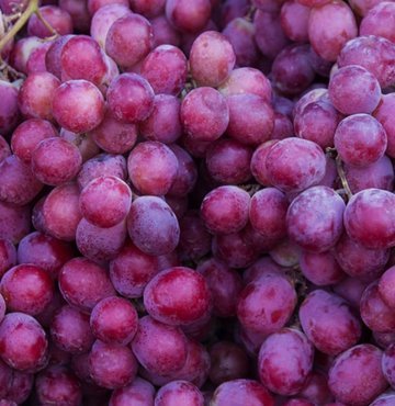 Toksinleri atarak yenilenmeyi sağlayan bazı besinler, karaciğer sağlığını doğrudan etkiliyor. Peki, hangi besinler karaciğere iyi geliyor? Sarımsak, avokado, üzüm sadece birkaçı...