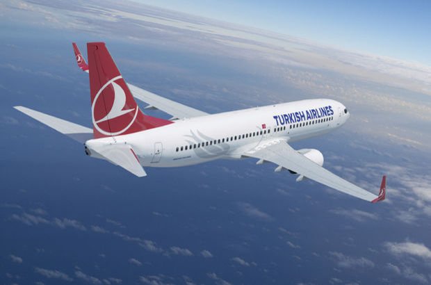 Tiflis’ten İstanbul’a giden uçağa kuş çarptı, Trabzon'a acil iniş yaptı