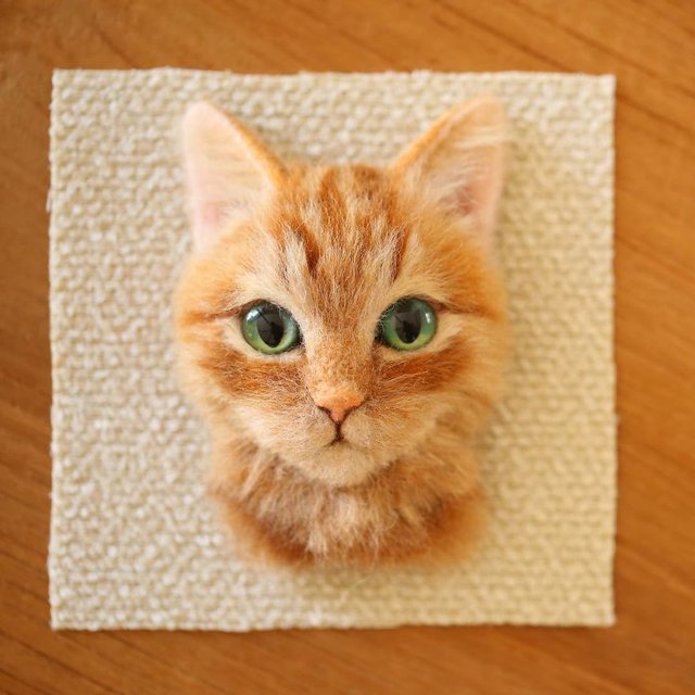 Japon sanatçı kediden daha gerçekçi kedi portreleri yapıyor