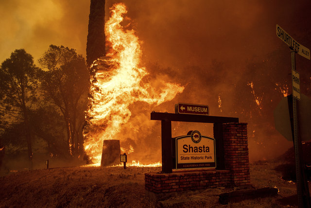 Kaliforniya'daki orman yangını kontrol altına alınamadı!
