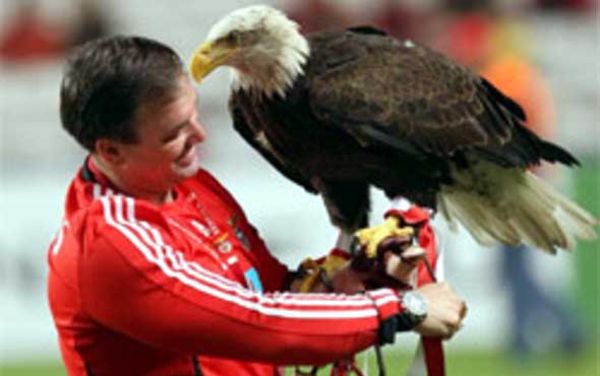 Benfica Nin Kartali
