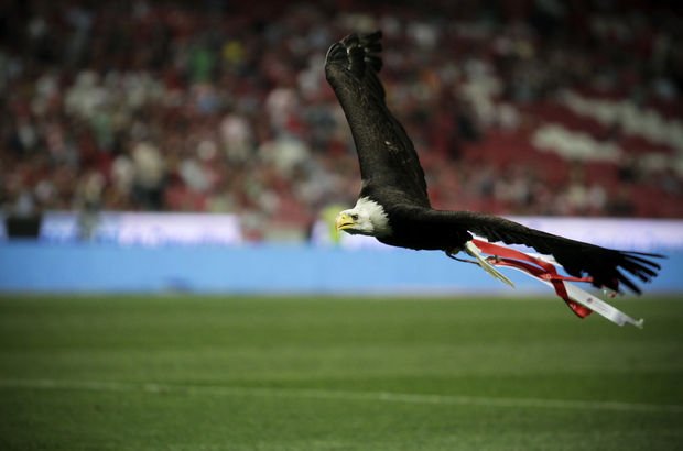 Fenerbahce Nin Rakibi Benfica Nin Kartali