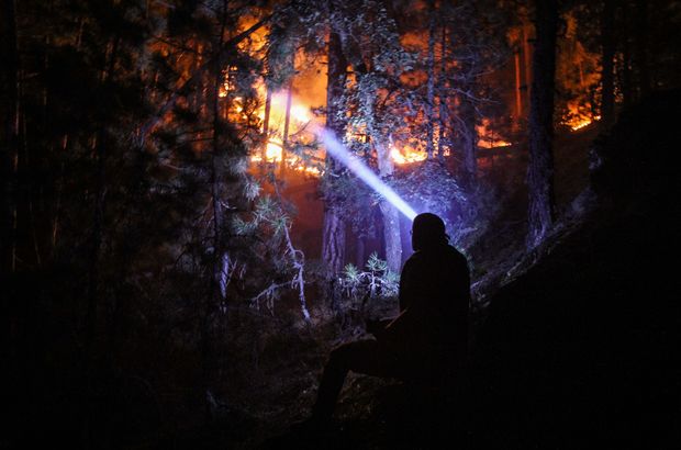 Kütahya'da korkutan orman yangını! Müdahale sürüyor