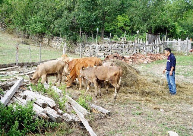 Çobanlık yaparken gökyüzüne baktı hayatı değişti!