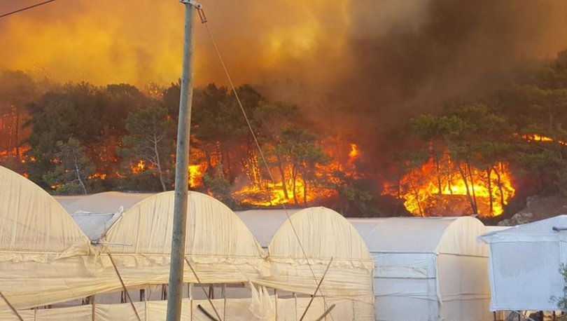 Son dakika: Antalya'da orman yangını! Alevler yayılıyor