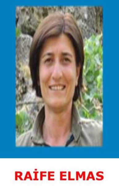 Bingöl'de 1,5 milyon ödül konulan kadın terörist etkisiz hale getirildi