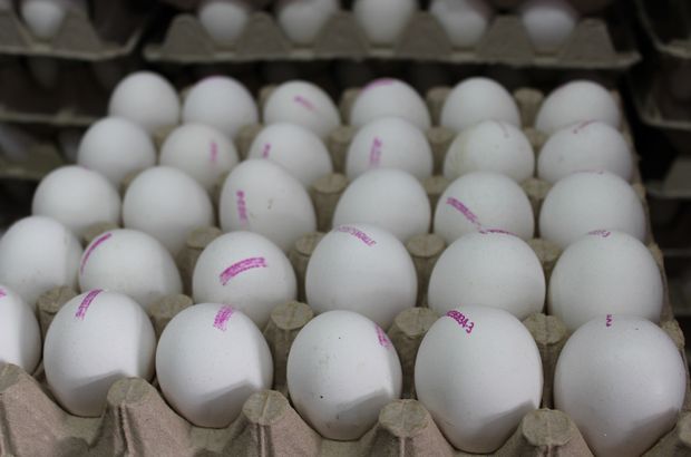 Yumurta üreticilerinden uyarı; 1 aylık yumurta stoğumuz kaldı