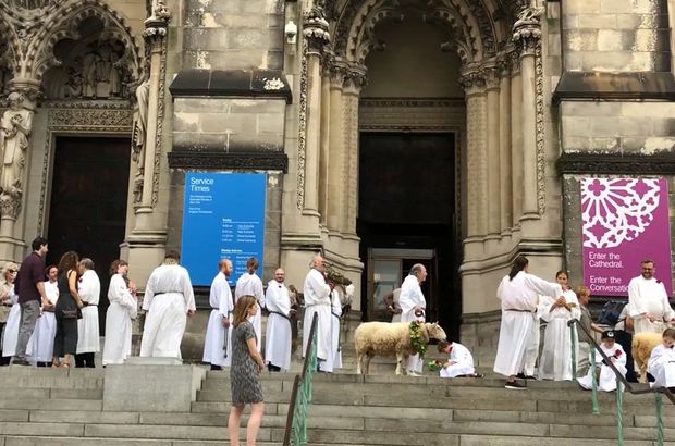 Katedralde yüzlerce hayvanı kutsadılar!
