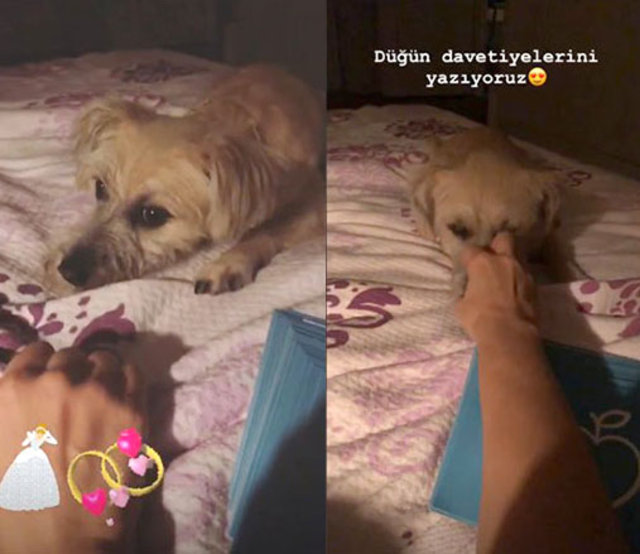Ezgi Mola evleniyor mu Ezgi Mola evleniyor mu