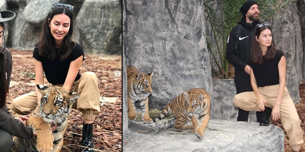 Kaplanları elleriyle besledi...