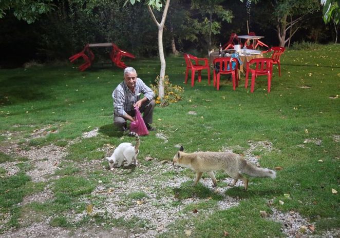 Lokantaya gelip karınlarını doyuruyorlar