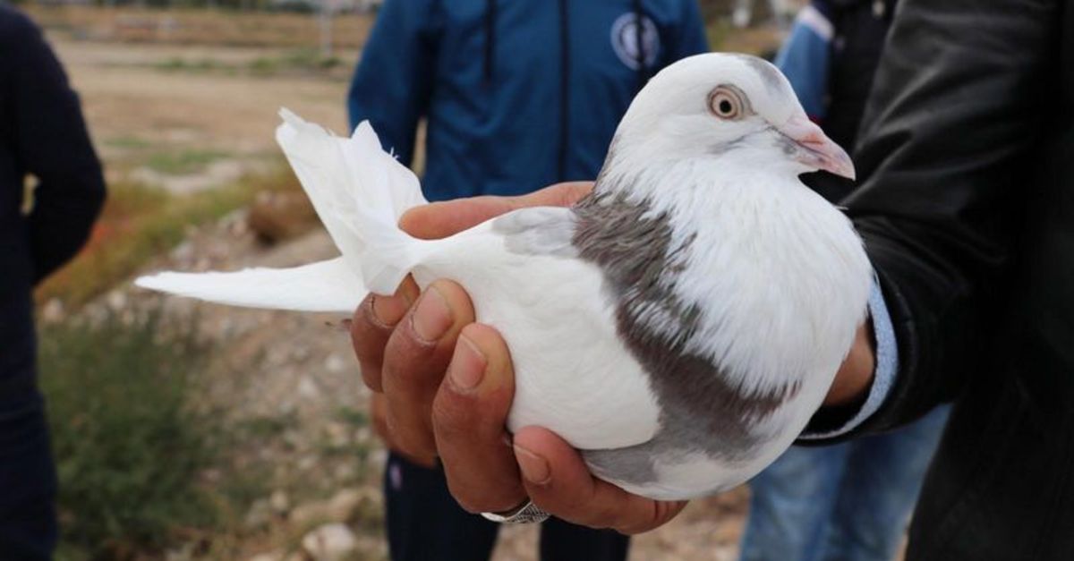 Araba verdiler istemedi! İşte biçtiği değer